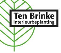 Ten_Brinke.jpg